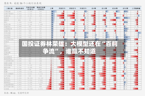 国投证券林荣雄：大模型还在“百舸争流”，谁赢不知道-第2张图片