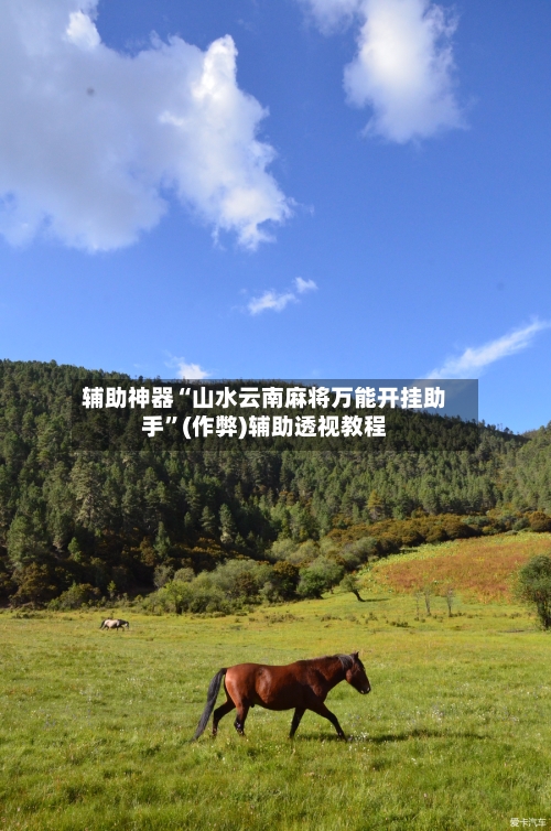辅助神器“山水云南麻将万能开挂助手”(作弊)辅助透视教程-第2张图片