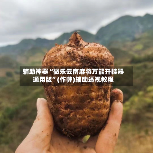 辅助神器“微乐云南麻将万能开挂器通用版”(作弊)辅助透视教程-第2张图片