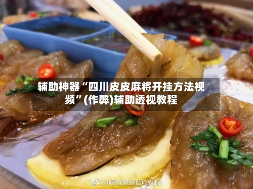 辅助神器“四川皮皮麻将开挂方法视频”(作弊)辅助透视教程-第3张图片