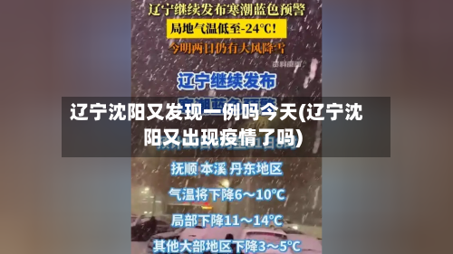 辽宁沈阳又发现一例吗今天(辽宁沈阳又出现疫情了吗)-第3张图片