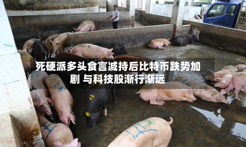 死硬派多头食言减持后比特币跌势加剧 与科技股渐行渐远