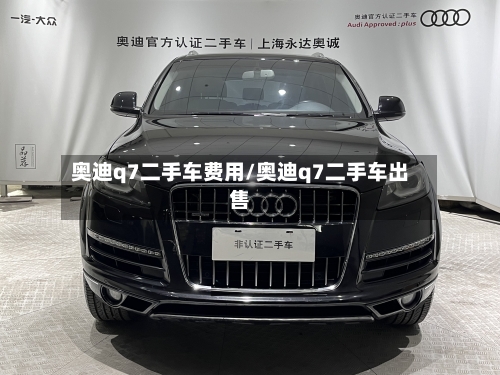 奥迪q7二手车费用/奥迪q7二手车出售-第2张图片