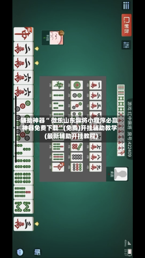 辅助神器“ 微乐山东麻将小程序必赢神器免费下载	”(免费)开挂辅助教学(最新辅助开挂教程)-第2张图片