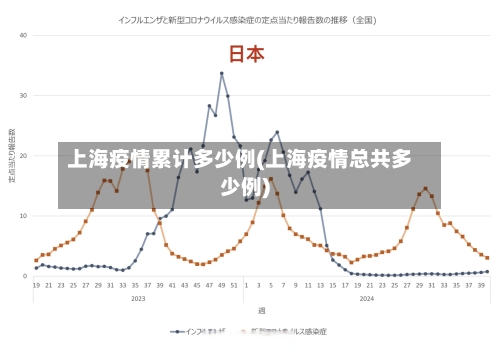 上海疫情累计多少例(上海疫情总共多少例)-第3张图片