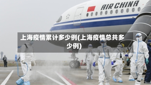 上海疫情累计多少例(上海疫情总共多少例)