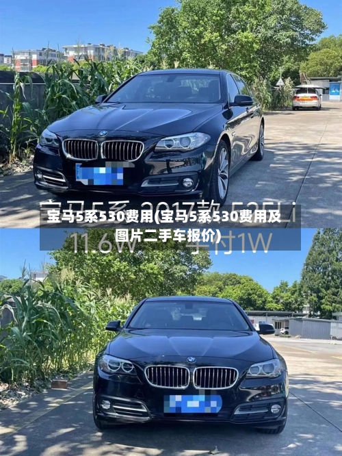 宝马5系530费用(宝马5系530费用及图片二手车报价)