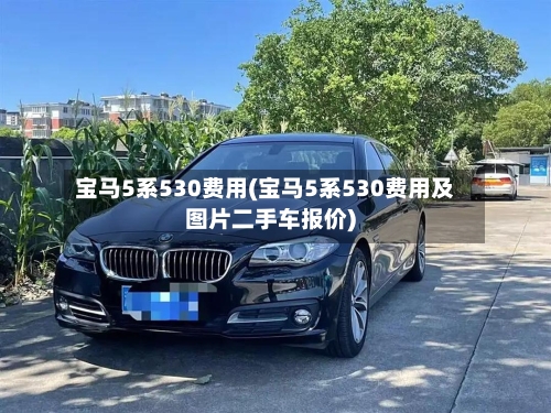 宝马5系530费用(宝马5系530费用及图片二手车报价)-第3张图片