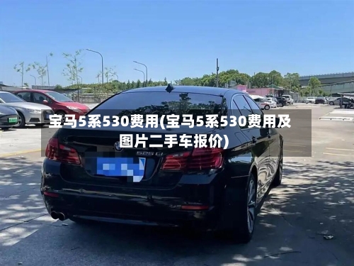 宝马5系530费用(宝马5系530费用及图片二手车报价)-第2张图片