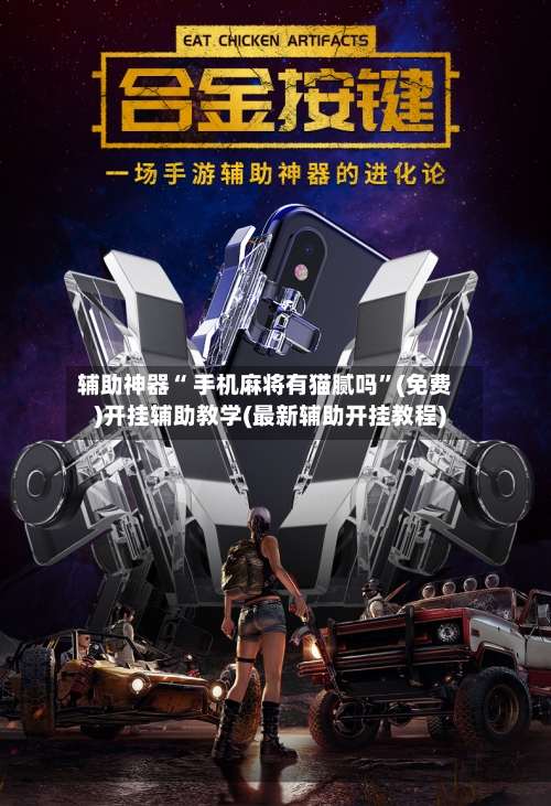 辅助神器“ 手机麻将有猫腻吗”(免费)开挂辅助教学(最新辅助开挂教程)-第3张图片