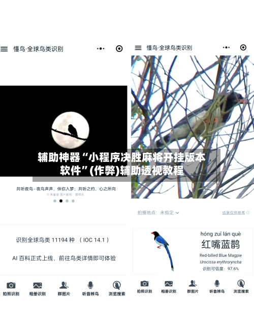 辅助神器“小程序决胜麻将开挂版本软件”(作弊)辅助透视教程-第2张图片