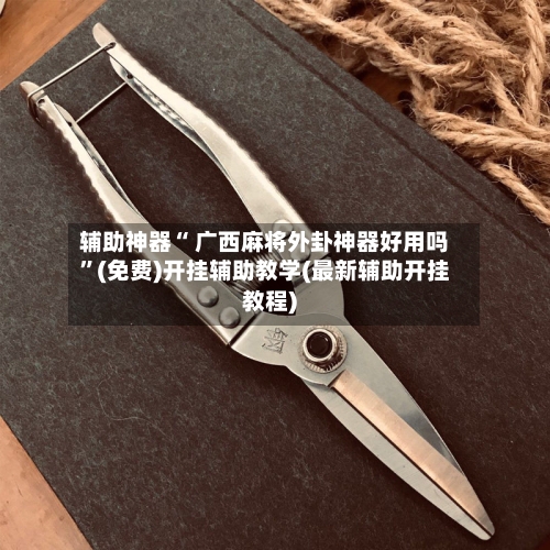 辅助神器“ 广西麻将外卦神器好用吗”(免费)开挂辅助教学(最新辅助开挂教程)-第2张图片