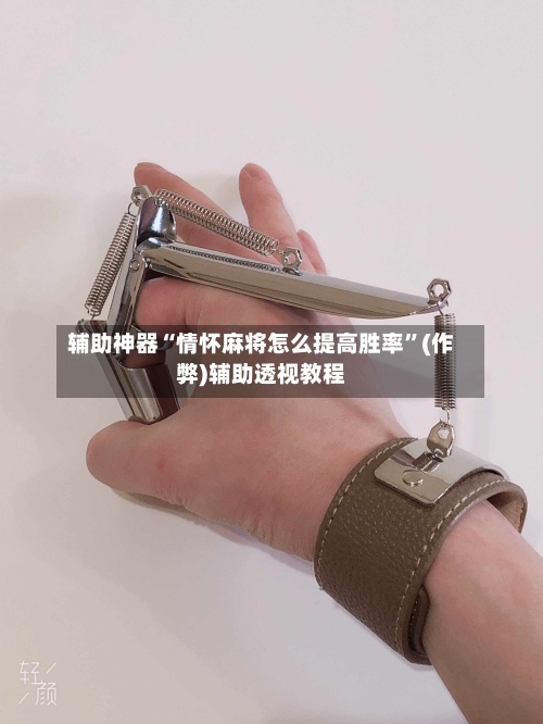 辅助神器“情怀麻将怎么提高胜率”(作弊)辅助透视教程-第2张图片