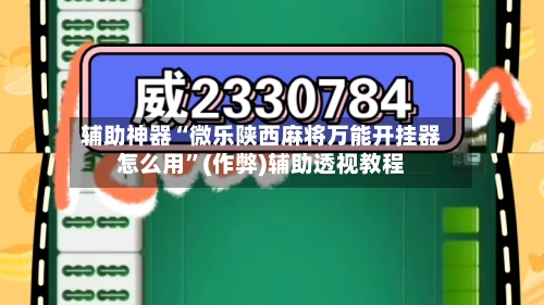 辅助神器“微乐陕西麻将万能开挂器怎么用”(作弊)辅助透视教程-第3张图片