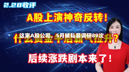 这家A股公司，5月被私募调研89次-第3张图片