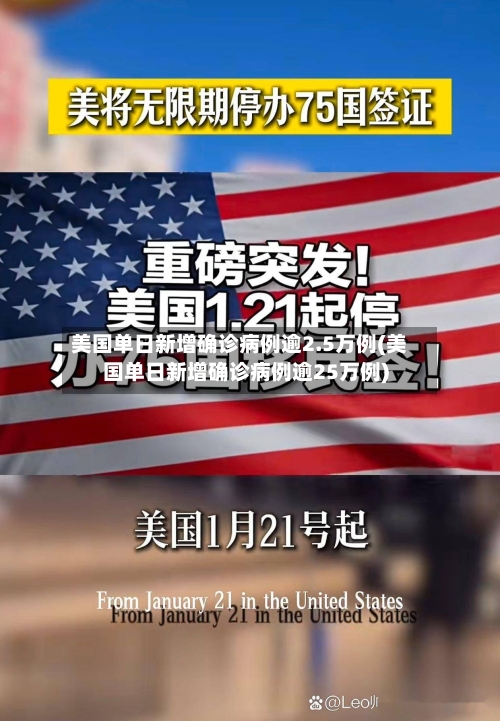 美国单日新增确诊病例逾2.5万例(美国单日新增确诊病例逾25万例)