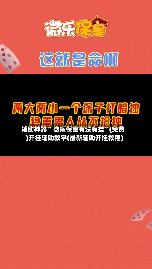辅助神器“ 微乐保皇有没有挂”(免费)开挂辅助教学(最新辅助开挂教程)-第3张图片