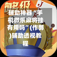 辅助神器“手机微乐麻将挂有用吗”(作弊)辅助透视教程-第3张图片