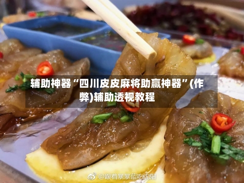 辅助神器“四川皮皮麻将助赢神器”(作弊)辅助透视教程-第2张图片