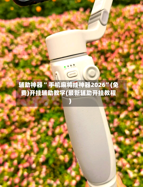 辅助神器“ 手机麻将挂神器2026	”(免费)开挂辅助教学(最新辅助开挂教程)-第3张图片