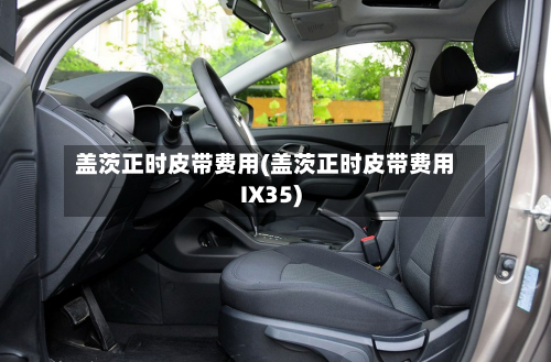 盖茨正时皮带费用(盖茨正时皮带费用IX35)-第3张图片