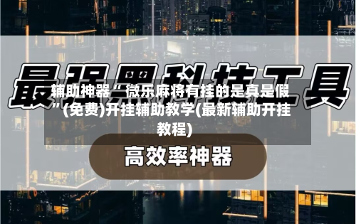 辅助神器“ 微乐麻将有挂的是真是假”(免费)开挂辅助教学(最新辅助开挂教程)-第3张图片