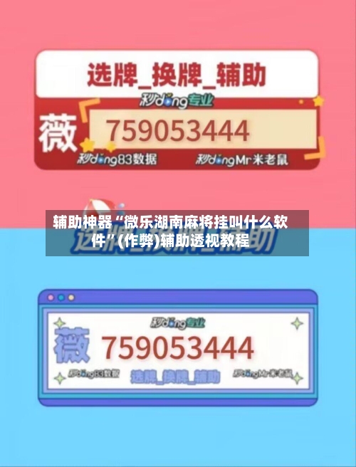 辅助神器“微乐湖南麻将挂叫什么软件”(作弊)辅助透视教程-第2张图片