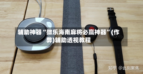 辅助神器“微乐海南麻将必赢神器”(作弊)辅助透视教程
