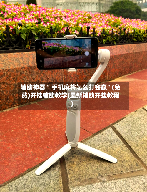 辅助神器“ 手机麻将怎么打会赢”(免费)开挂辅助教学(最新辅助开挂教程)-第2张图片