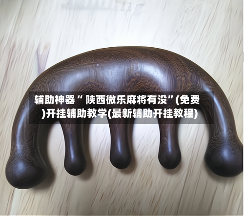 辅助神器“ 陕西微乐麻将有没”(免费)开挂辅助教学(最新辅助开挂教程)-第2张图片