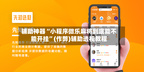 辅助神器“小程序微乐麻将到底能不能开挂”(作弊)辅助透视教程-第3张图片