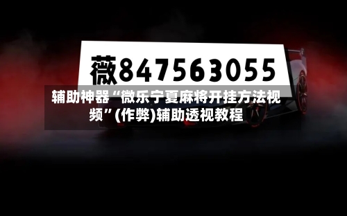 辅助神器“微乐宁夏麻将开挂方法视频	”(作弊)辅助透视教程-第3张图片