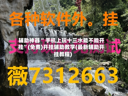 辅助神器“ 手机上玩十三水能不能开挂”(免费)开挂辅助教学(最新辅助开挂教程)-第3张图片