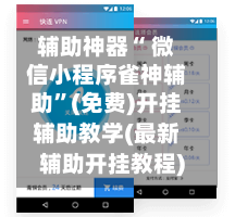 辅助神器“ 微信小程序雀神辅助	”(免费)开挂辅助教学(最新辅助开挂教程)-第2张图片