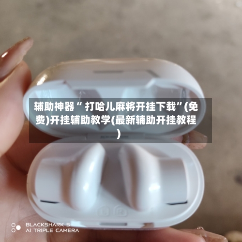 辅助神器“ 打哈儿麻将开挂下载”(免费)开挂辅助教学(最新辅助开挂教程)-第2张图片