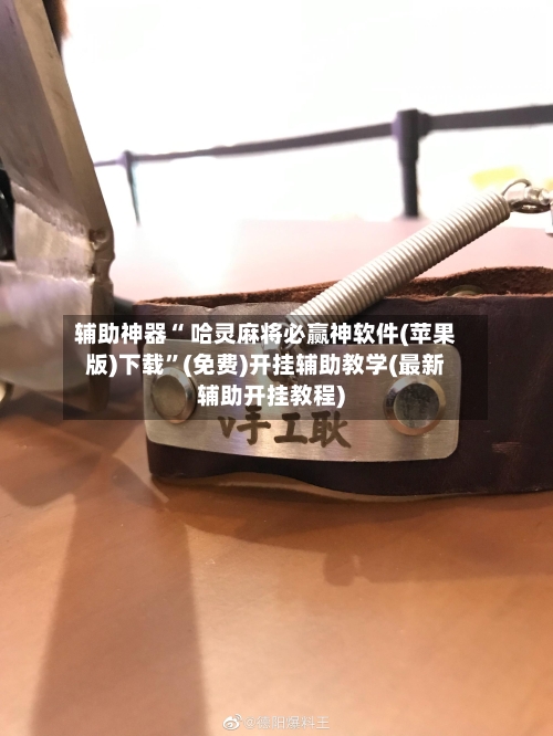 辅助神器“ 哈灵麻将必赢神软件(苹果版)下载”(免费)开挂辅助教学(最新辅助开挂教程)-第2张图片