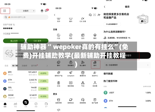 辅助神器“ wepoker真的有挂么	”(免费)开挂辅助教学(最新辅助开挂教程)-第2张图片