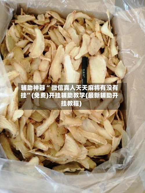 辅助神器“ 微信真人天天麻将有没有挂	”(免费)开挂辅助教学(最新辅助开挂教程)-第2张图片