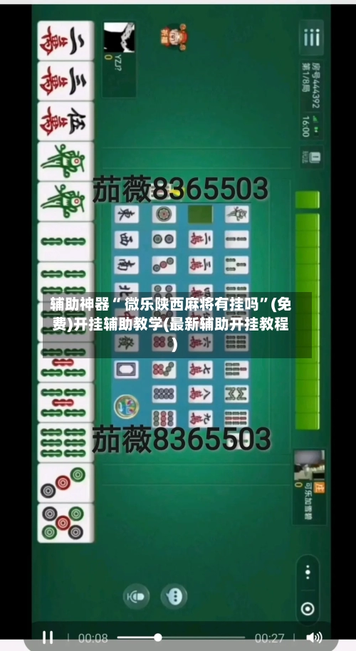 辅助神器“ 微乐陕西麻将有挂吗”(免费)开挂辅助教学(最新辅助开挂教程)-第2张图片
