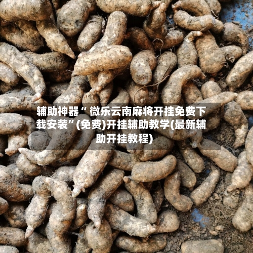 辅助神器“ 微乐云南麻将开挂免费下载安装”(免费)开挂辅助教学(最新辅助开挂教程)-第2张图片