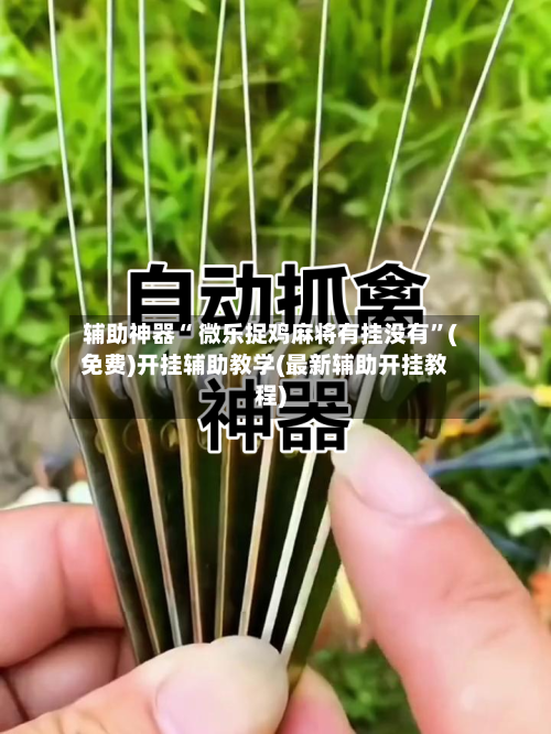 辅助神器“ 微乐捉鸡麻将有挂没有	”(免费)开挂辅助教学(最新辅助开挂教程)-第2张图片