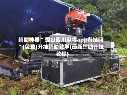 辅助神器“ 蜀山四川麻将app有挂吗”(免费)开挂辅助教学(最新辅助开挂教程)-第2张图片