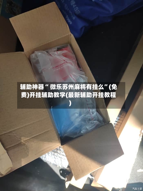 辅助神器“ 微乐苏州麻将有挂么”(免费)开挂辅助教学(最新辅助开挂教程)-第3张图片