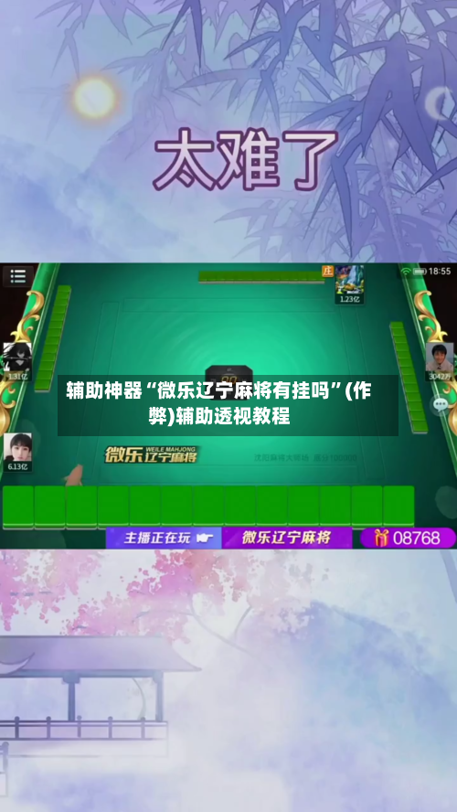 辅助神器“微乐辽宁麻将有挂吗”(作弊)辅助透视教程-第3张图片