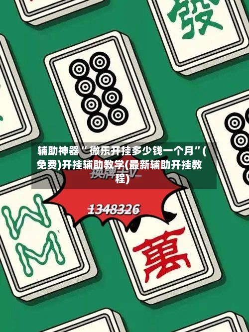 辅助神器“ 微乐开挂多少钱一个月”(免费)开挂辅助教学(最新辅助开挂教程)-第3张图片