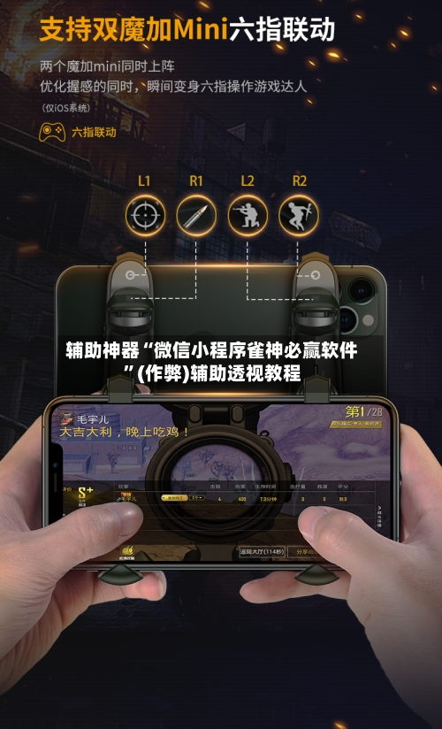辅助神器“微信小程序雀神必赢软件”(作弊)辅助透视教程-第2张图片