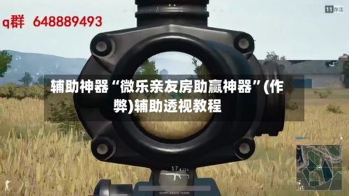 辅助神器“微乐亲友房助赢神器”(作弊)辅助透视教程-第2张图片