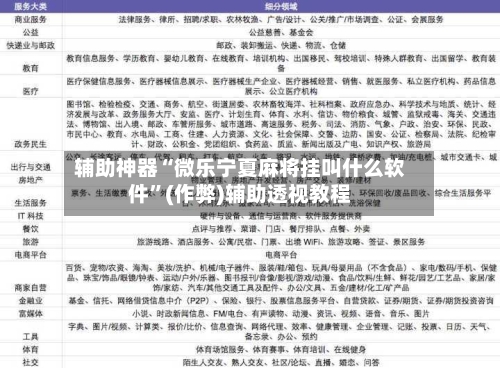 辅助神器“微乐宁夏麻将挂叫什么软件”(作弊)辅助透视教程-第3张图片