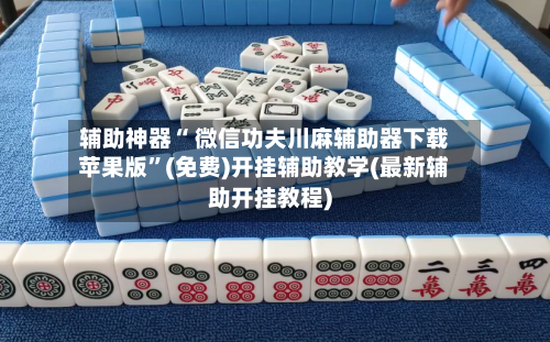 辅助神器“ 微信功夫川麻辅助器下载苹果版”(免费)开挂辅助教学(最新辅助开挂教程)-第2张图片
