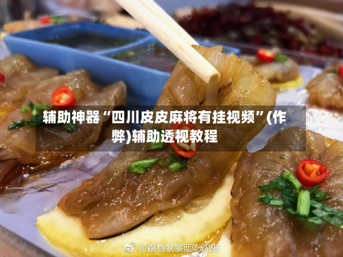 辅助神器“四川皮皮麻将有挂视频”(作弊)辅助透视教程-第2张图片